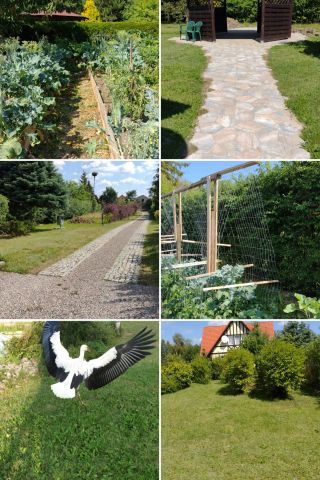 dom wolnostojący, 9 pokoi Sobącz. Zdjęcie 57