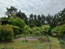 Działka rod Komprachcice, ul. Chróścińska. Zdjęcie 1