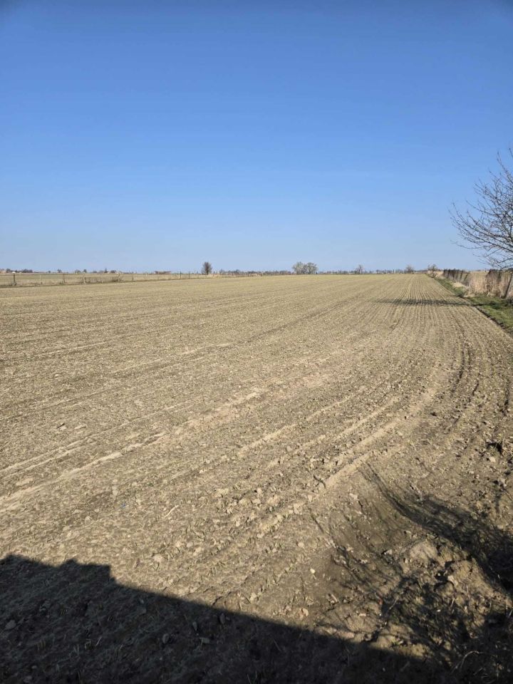 Działka rolna Śmiłowo, ul. Działkowa. Zdjęcie 3
