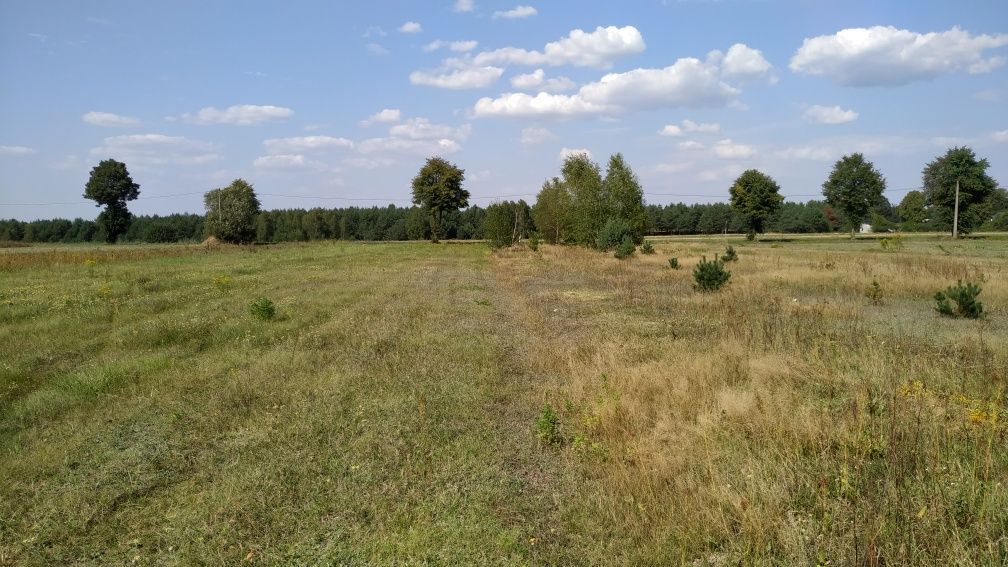 Działka rolna Przyłanki. Zdjęcie 4