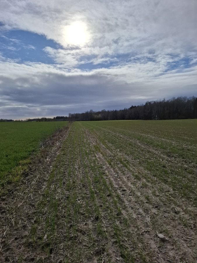 Działka inwestycyjna Charnowo. Zdjęcie 3