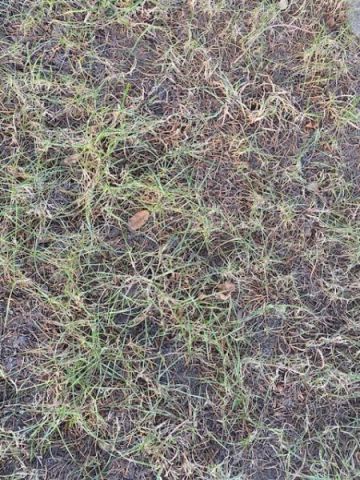 Działka budowlana Opole Grudzice. Zdjęcie 1