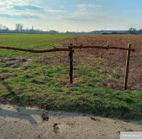 Działka rolna Tursko Małe-Kolonia. Zdjęcie 1