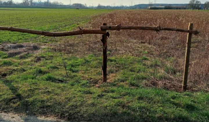 Działka rolna Tursko Małe-Kolonia