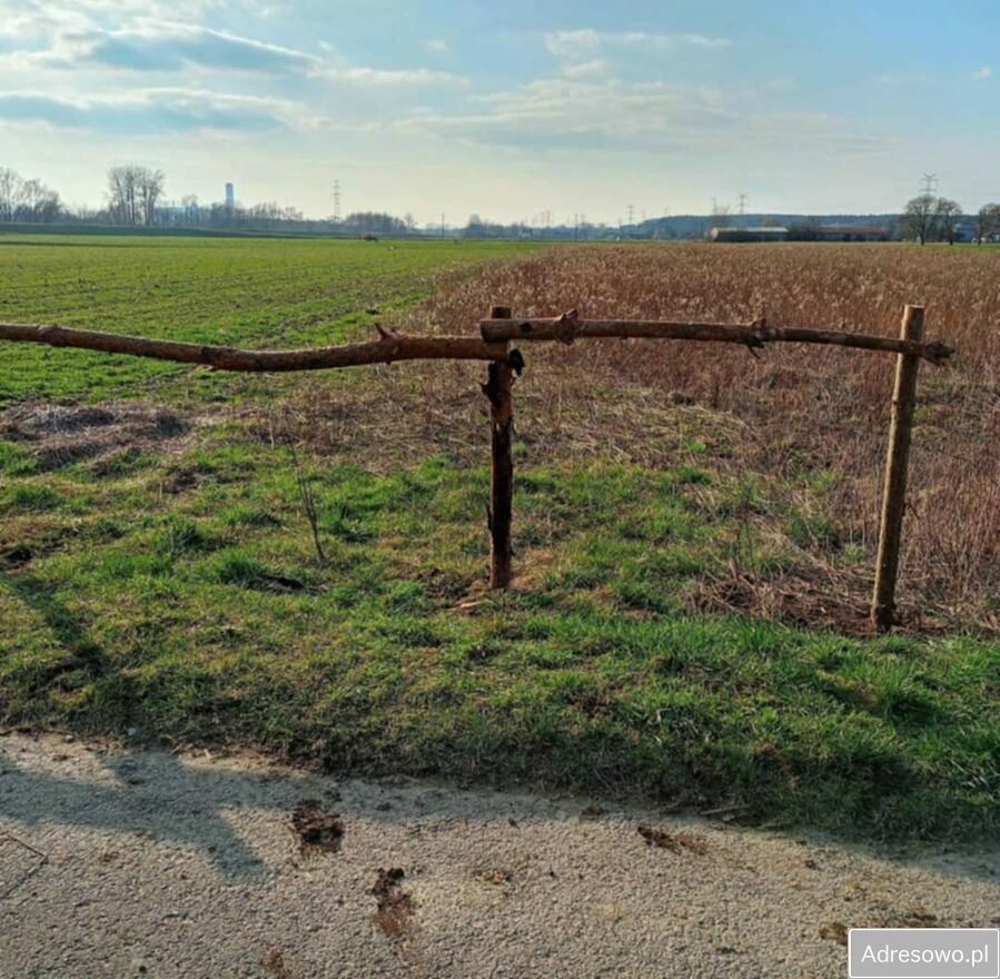 Działka rolna Tursko Małe-Kolonia. Zdjęcie 1