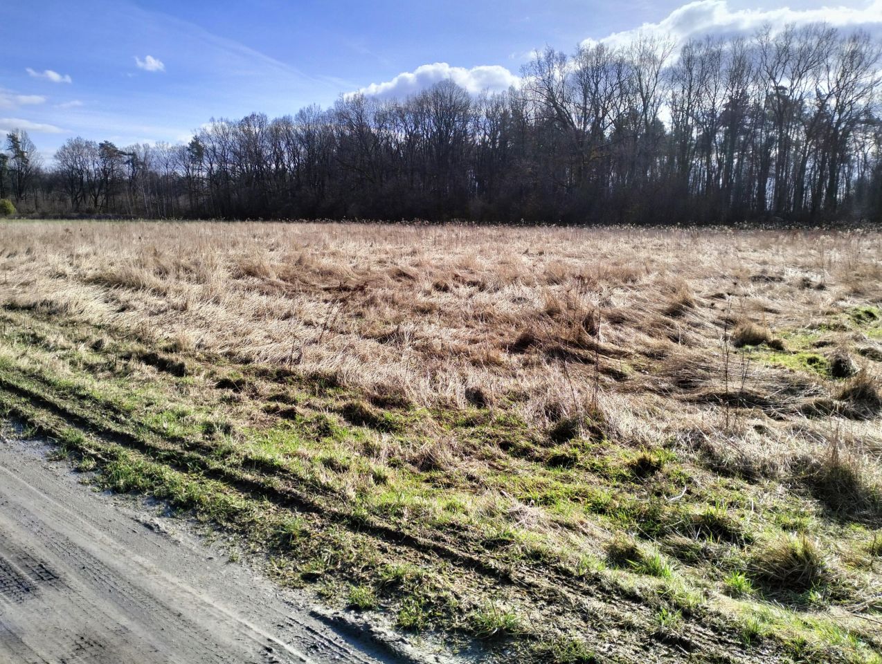 Działka budowlana Zbydniów, ul. Zatorze. Zdjęcie 3