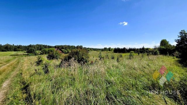 Działka rekreacyjna Zgniłocha. Zdjęcie 3