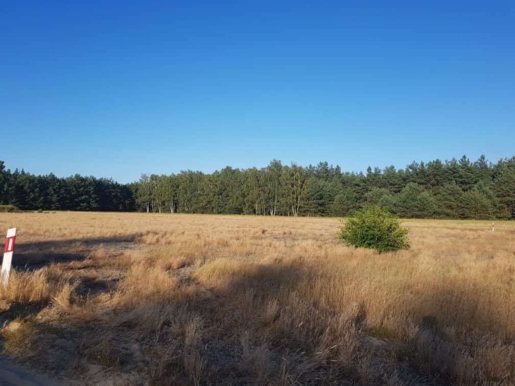 Działka budowlana Kuźnica Skakawska, ul. Kasztanowa. Zdjęcie 5