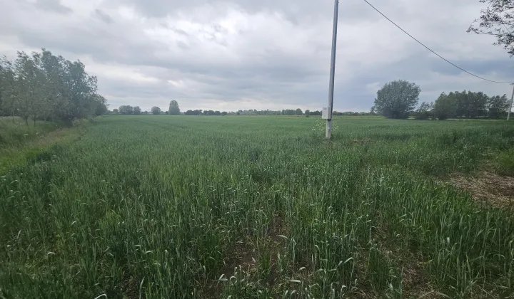 Działka inwestycyjna Wiśniewo