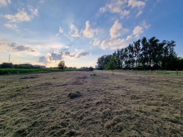Działka budowlana Szczepanowice. Zdjęcie 1