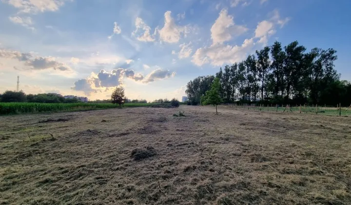 Działka budowlana Szczepanowice