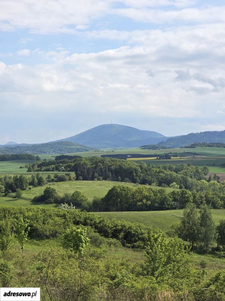 Działka budowlana Chwaliszów, ul. Słonecznikowa. Zdjęcie 8