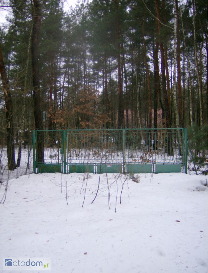 Działka inwestycyjna Adamów-Wieś, ul. Puszczyka. Zdjęcie 3