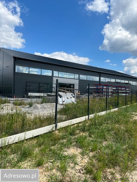 Hala/magazyn Groblice, ul. Spółdzielcza. Zdjęcie 8
