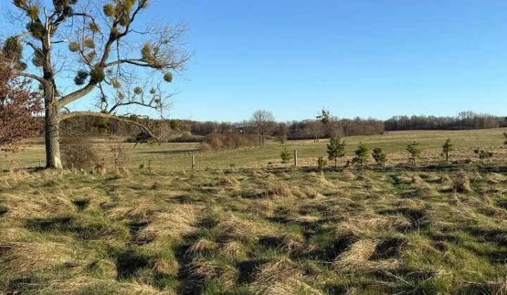 Działka rolna Gardna Wielka