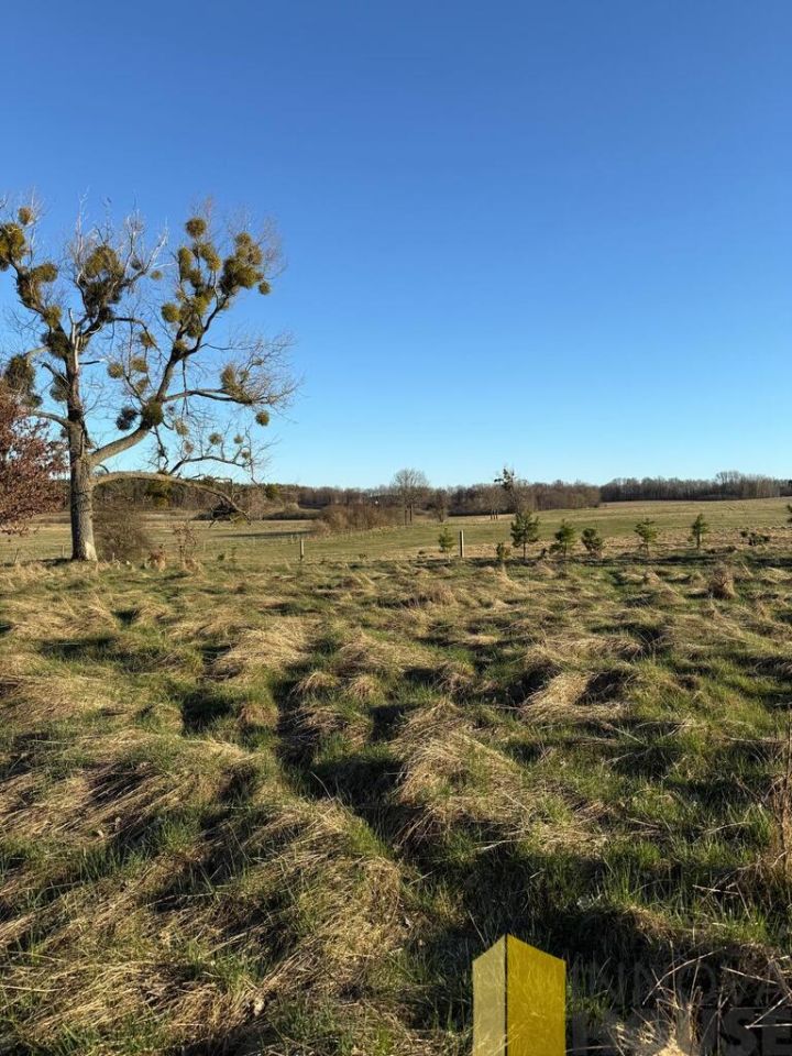 Działka rolna Gardna Wielka