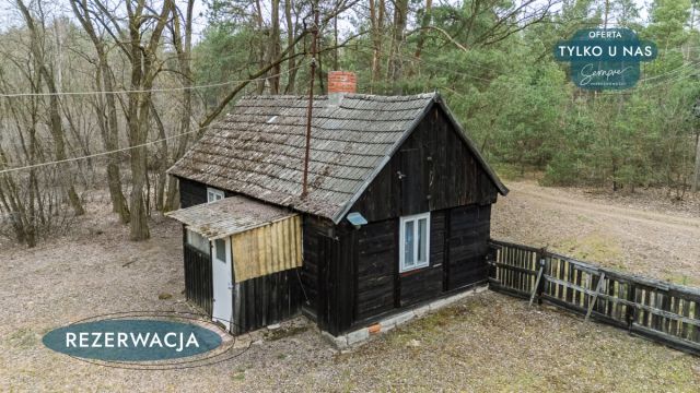 Działka leśna Kije. Zdjęcie 2