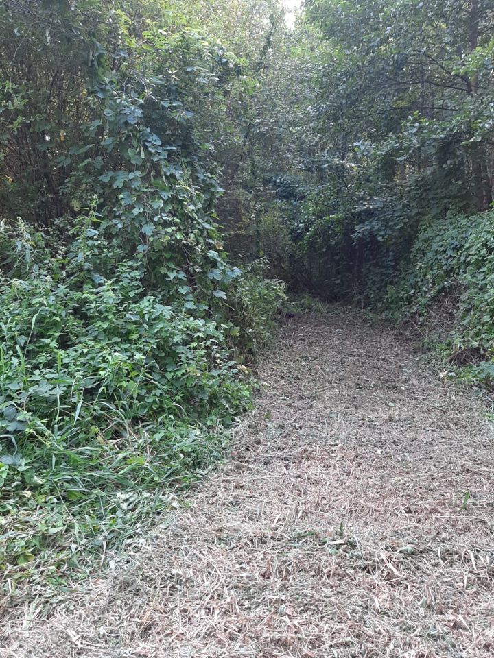 Działka rolna Michałów. Zdjęcie 10