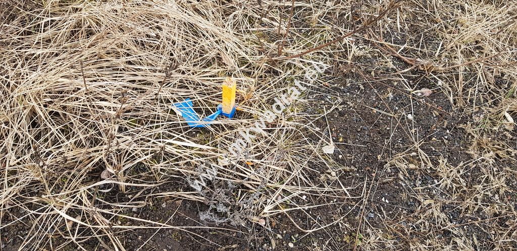 Działka budowlana Budy Iłowskie. Zdjęcie 10