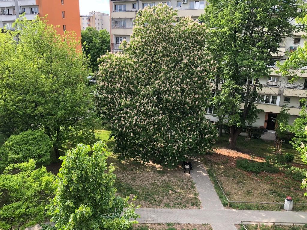 Mieszkanie 2-pokojowe Warszawa Wola, ul. Pawia. Zdjęcie 8