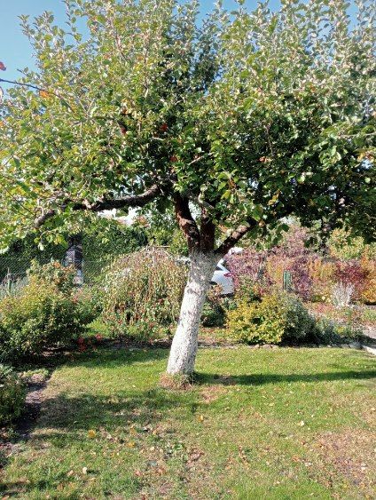 Działka rod Bydgoszcz Kapuściska, ul. Kapuściska. Zdjęcie 9