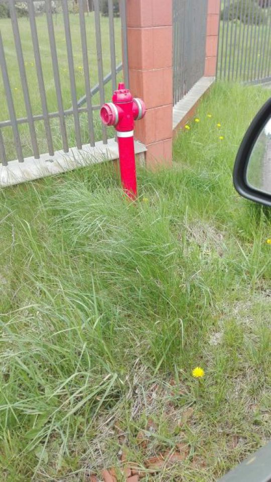 Działka leśna Bałdrzychów. Zdjęcie 6