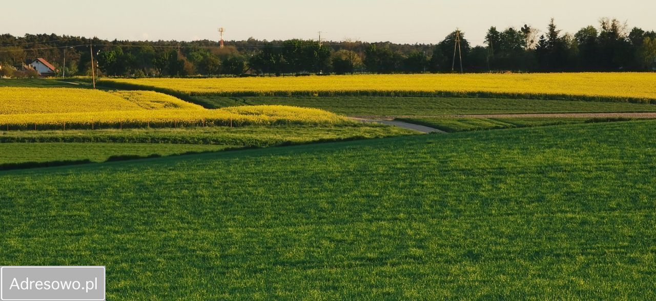 Działka rolno-budowlana Powidz, ul. Widokowa. Zdjęcie 15