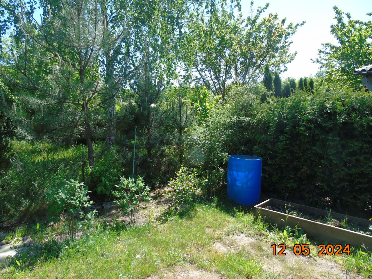 Działka rod Niedźwiada. Zdjęcie 15