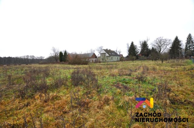 Działka budowlana Zielona Góra Kiełpin. Zdjęcie 2