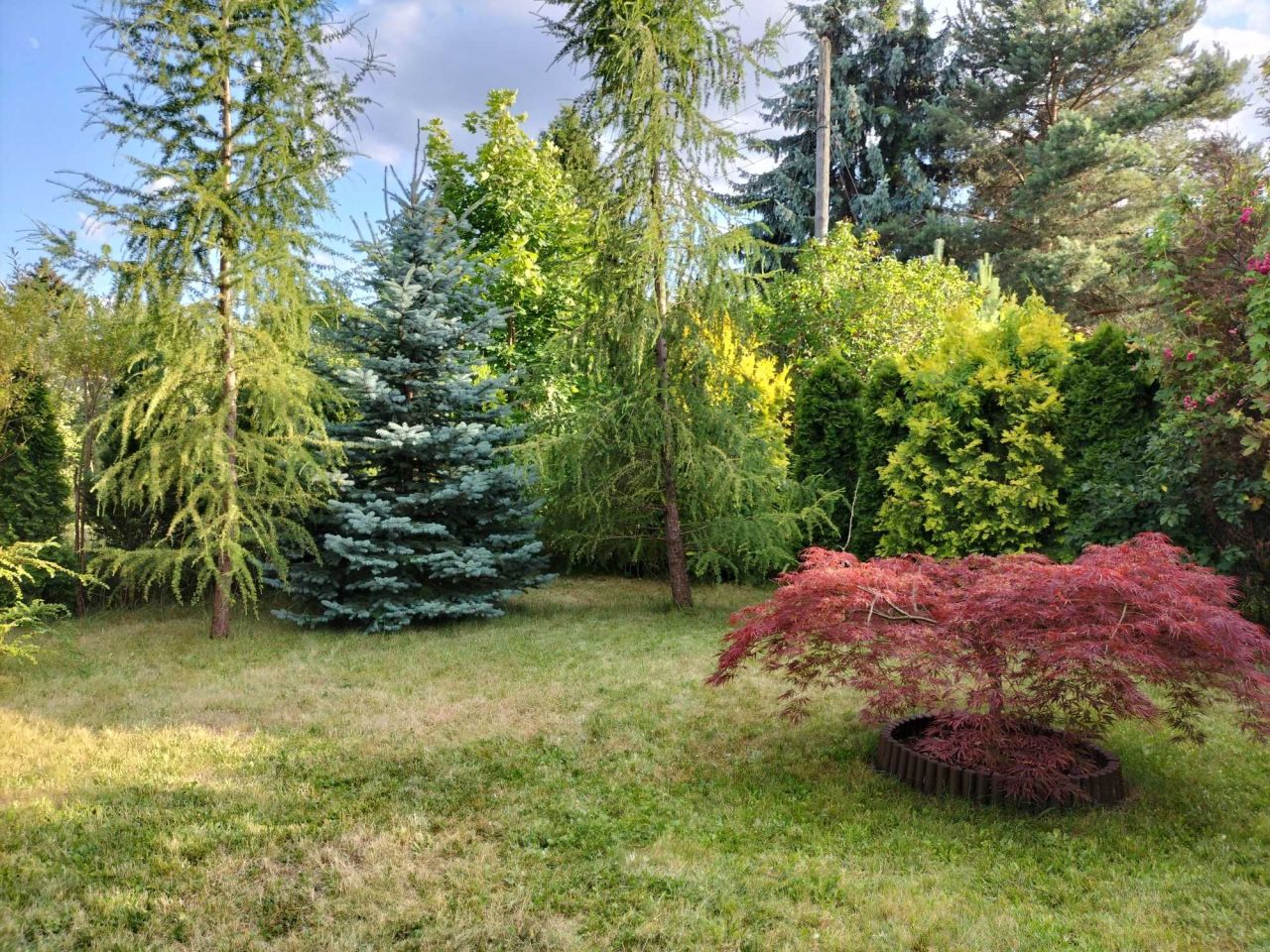 Działka rod Warszawa Mokotów. Zdjęcie 4