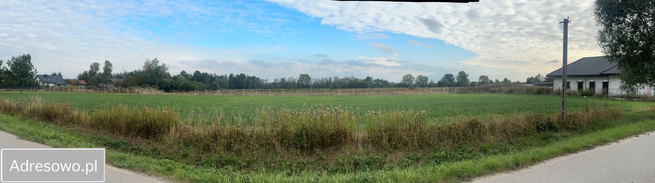 Działka budowlana Robercin, ul. Orzechowa. Zdjęcie 3