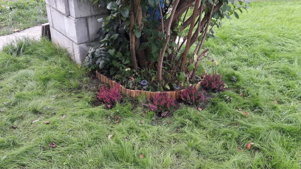 Działka rod Olsztyn Kormoran. Zdjęcie 7