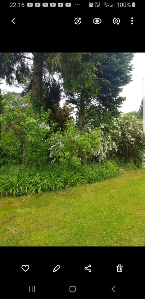 Działka rekreacyjna Łosie, ul. Czyżyka. Zdjęcie 29