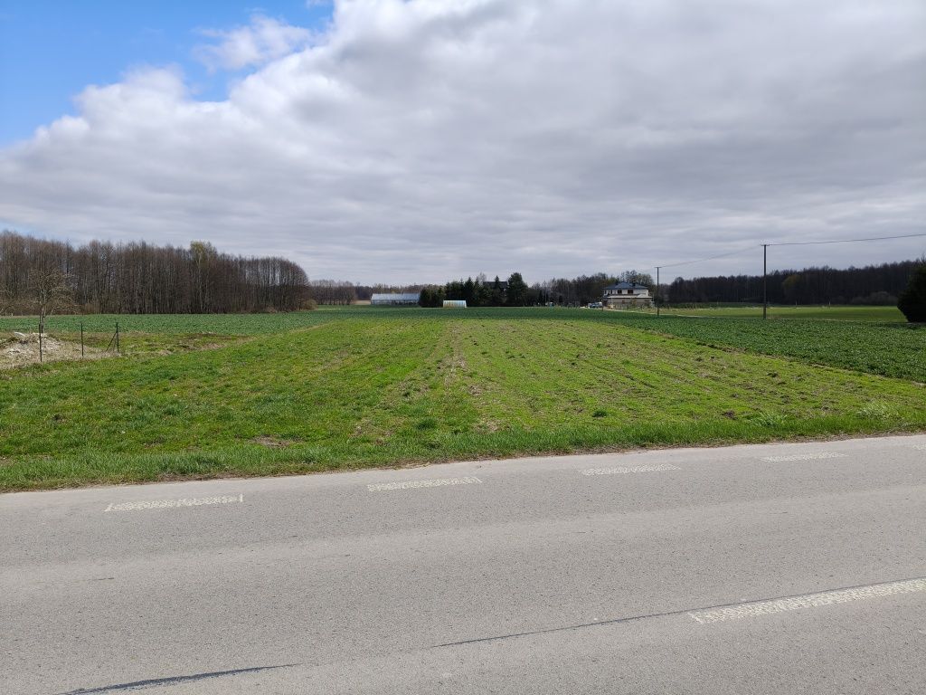 Działka rolno-budowlana Leśniczówka. Zdjęcie 5