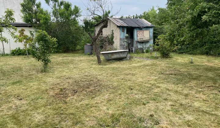 Działka rod Jelcz-Laskowice, ul. Piastowska