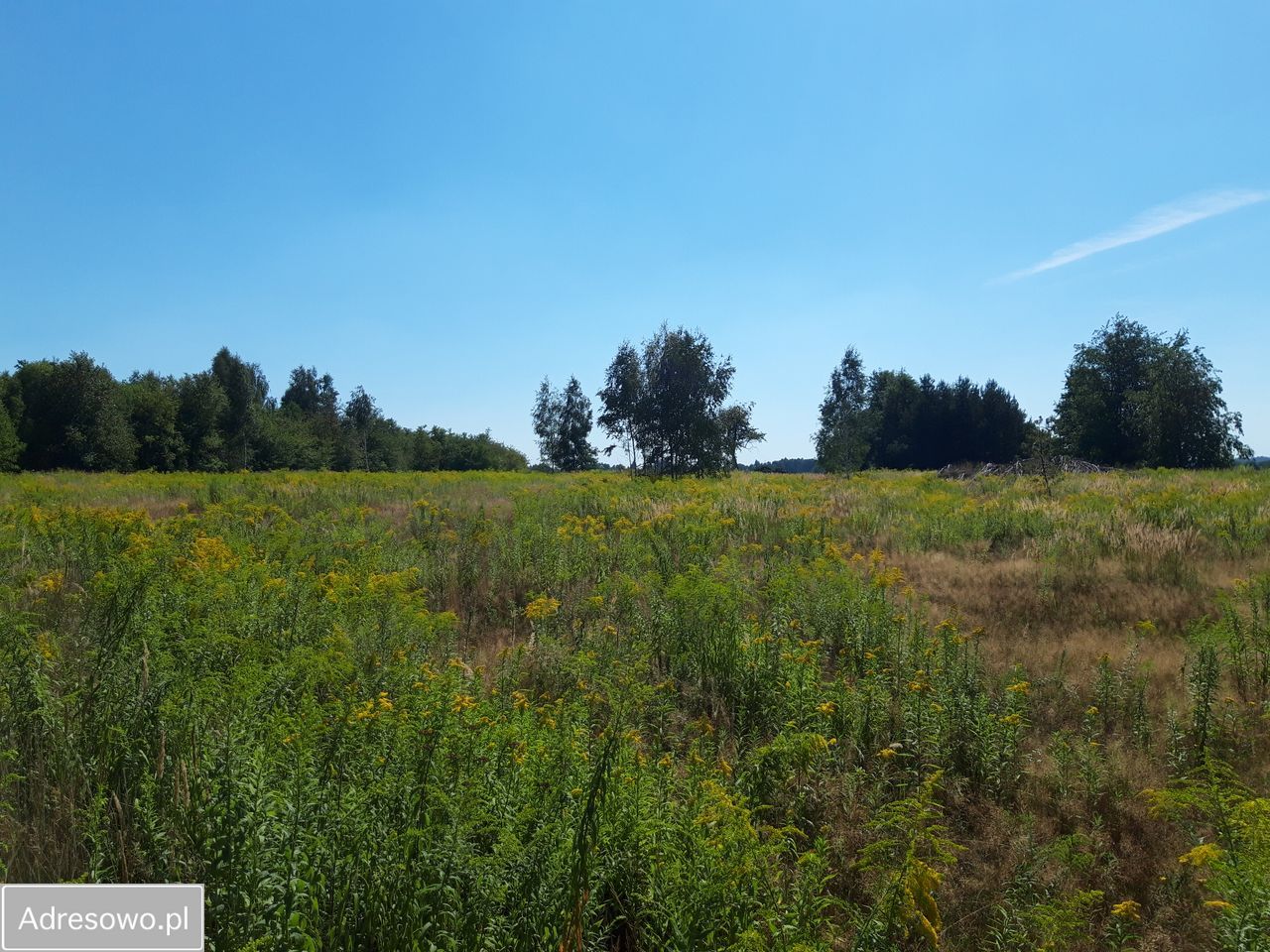 Działka budowlana Łódź Widzew, ul. Nad Niemnem. Zdjęcie 7