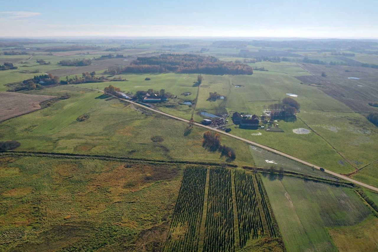 Działka rolna Rogóż. Zdjęcie 3