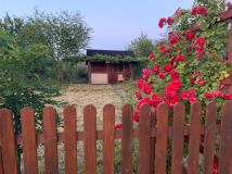 Działka rod Lublin, ul. Zawilcowa. Zdjęcie 3