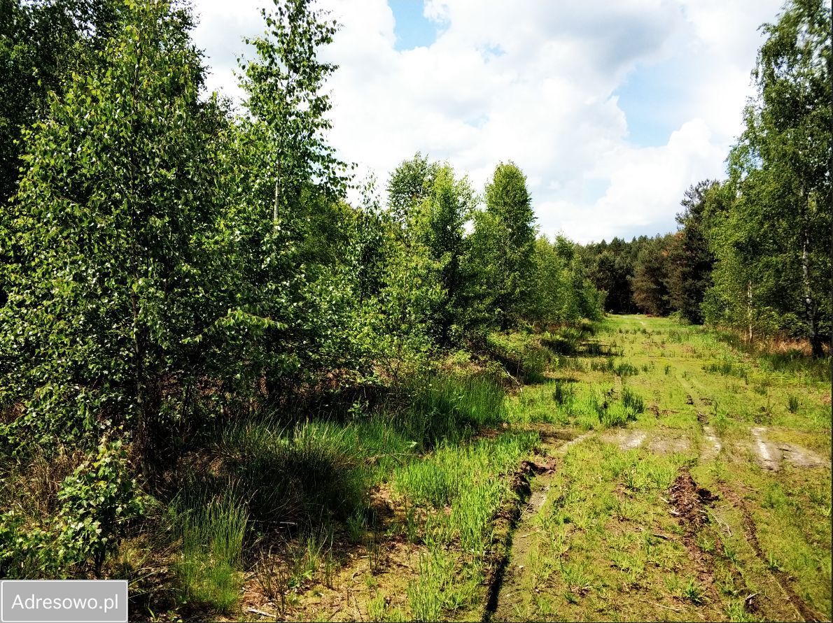 Działka budowlana Osęczyzna. Zdjęcie 5
