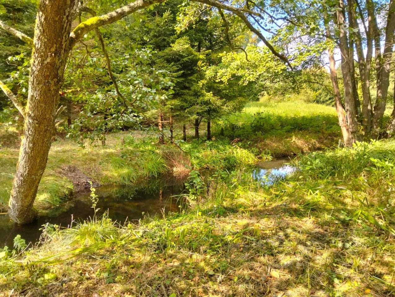 Działka rolna Koszalin. Zdjęcie 4