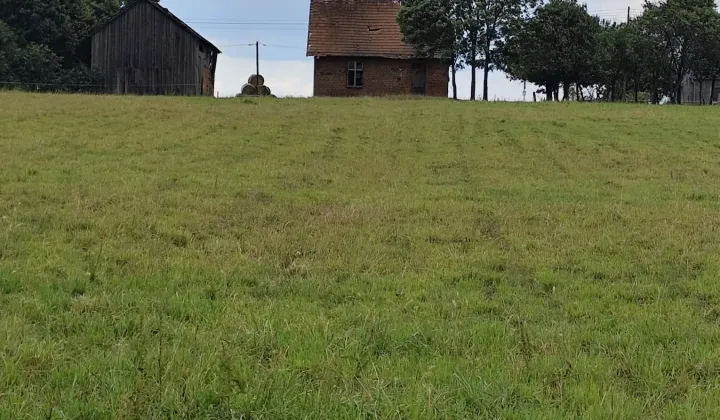Działka siedliskowa Kęsza