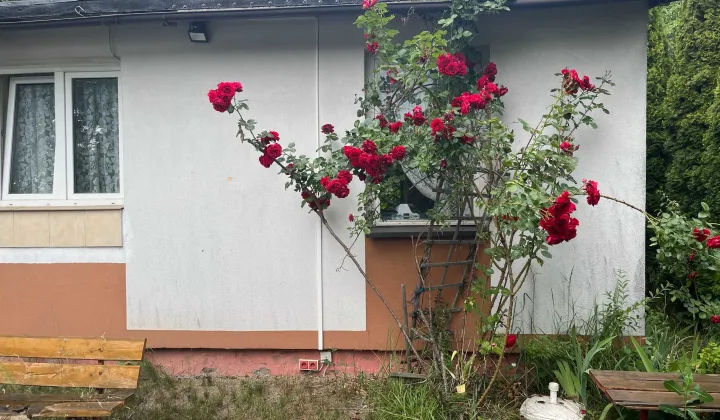 Działka rod Piotrków Trybunalski, ul. Gliniana