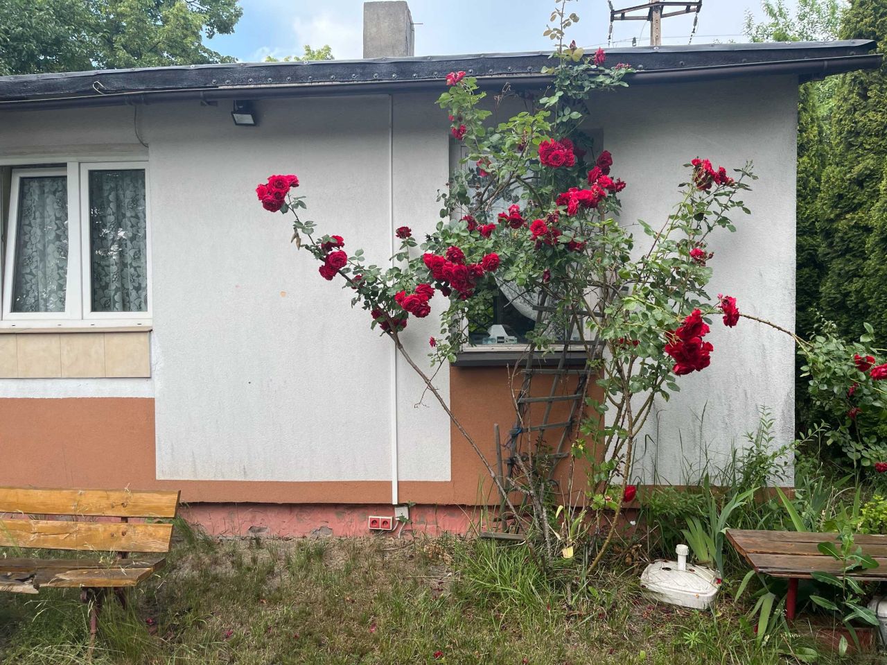 Działka rod Piotrków Trybunalski, ul. Gliniana. Zdjęcie 1