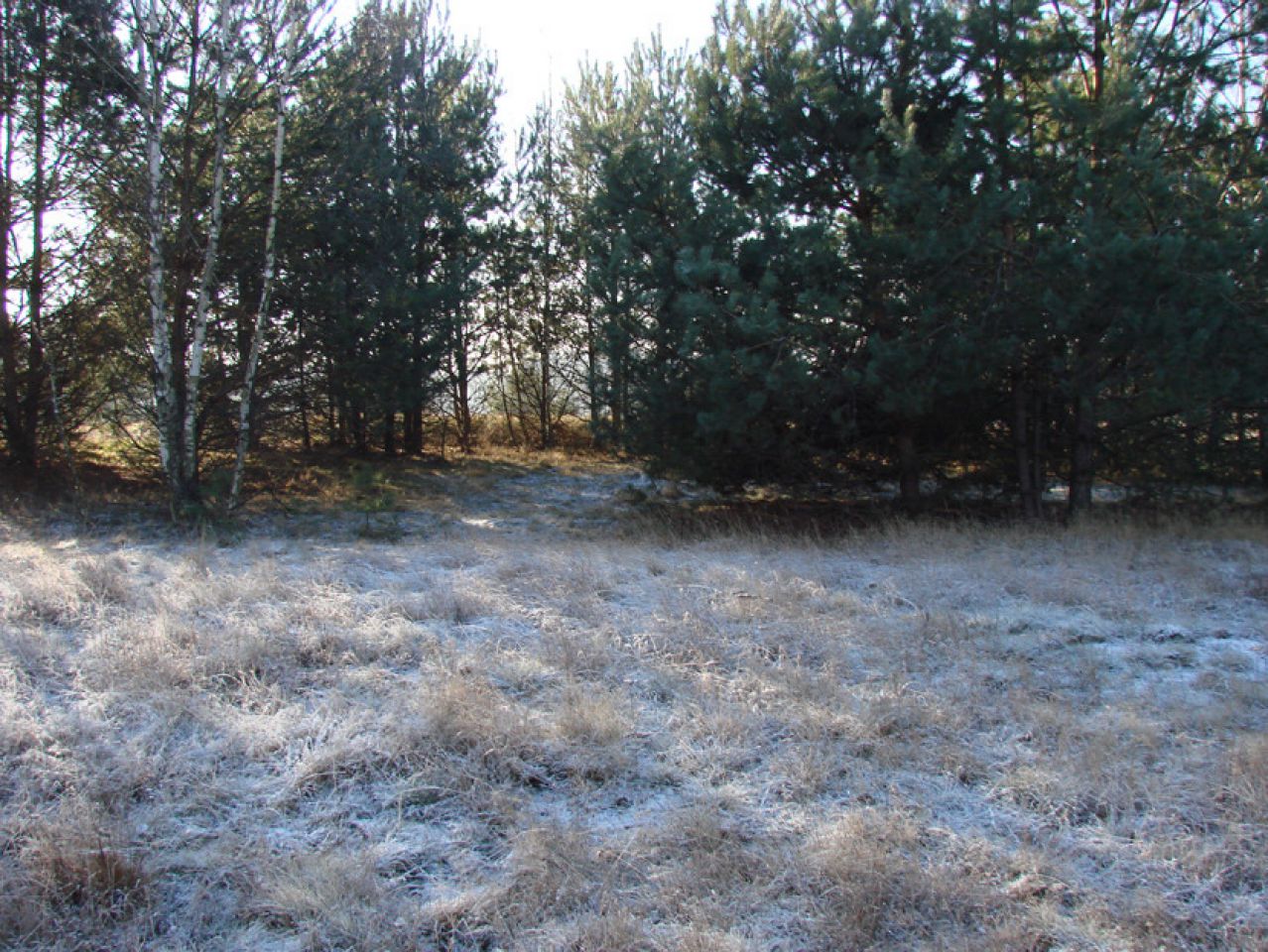 Działka rolno-budowlana Rędziny. Zdjęcie 8