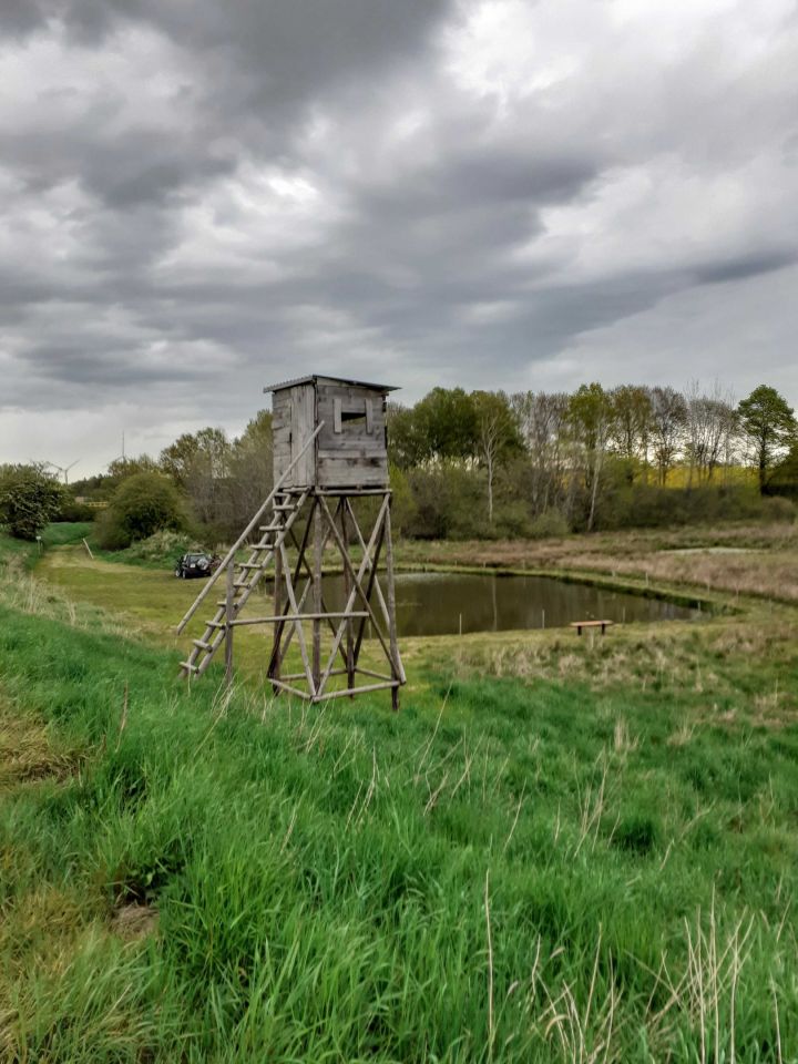 Działka rolna Dargocice. Zdjęcie 7