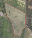 Działka inwestycyjna Jasieniec. Zdjęcie 1