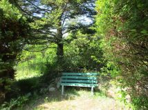 Działka rod Gdańsk Brętowo, ul. Wołkowyska. Zdjęcie 2