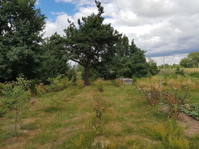 Działka budowlana Biała Podlaska. Zdjęcie 1