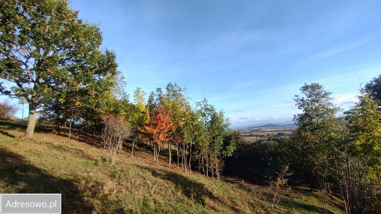 Działka budowlana Lutomierz. Zdjęcie 6