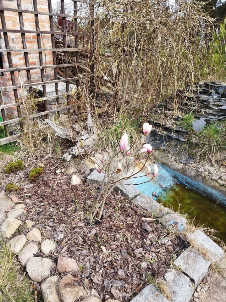 Działka rod Kulów. Zdjęcie 2